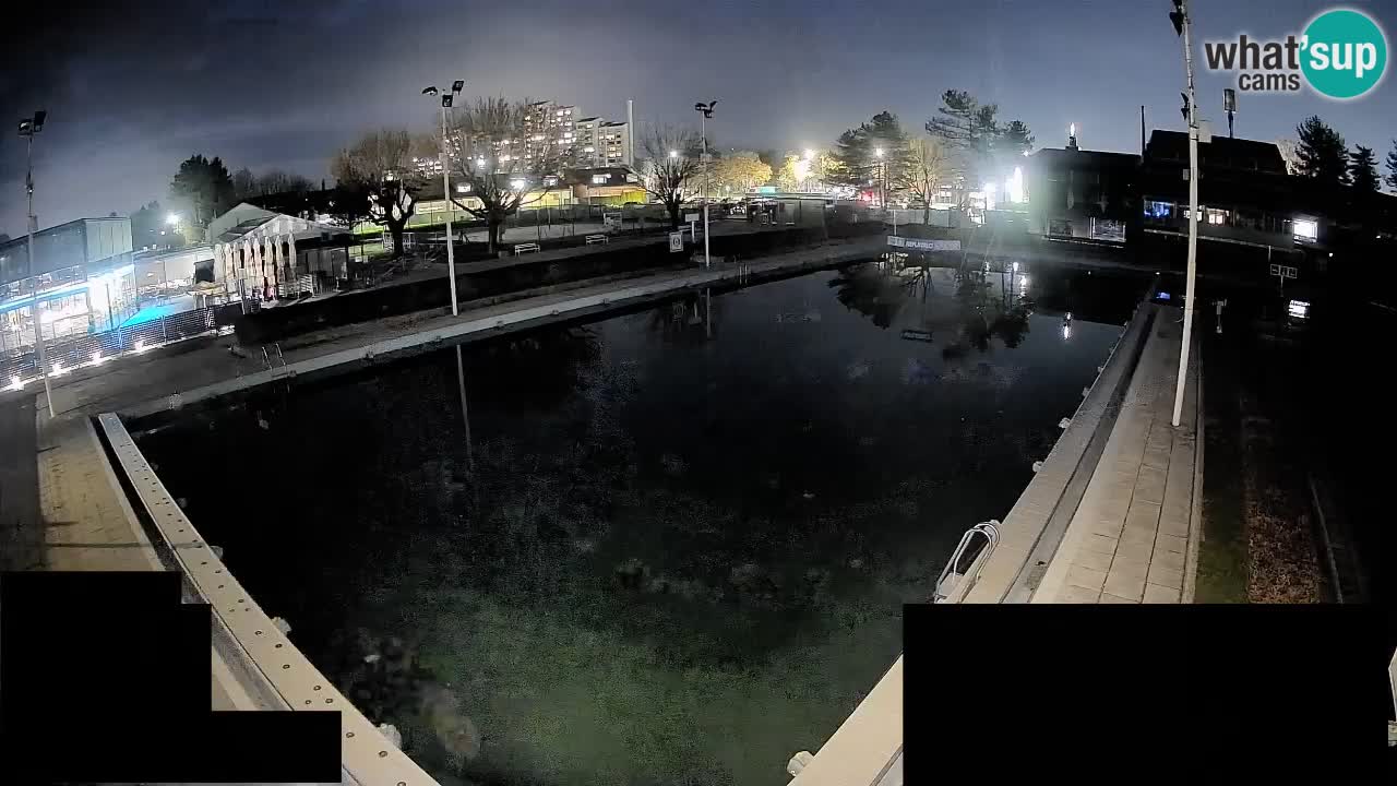 Webcam Celje – Main swimming pool