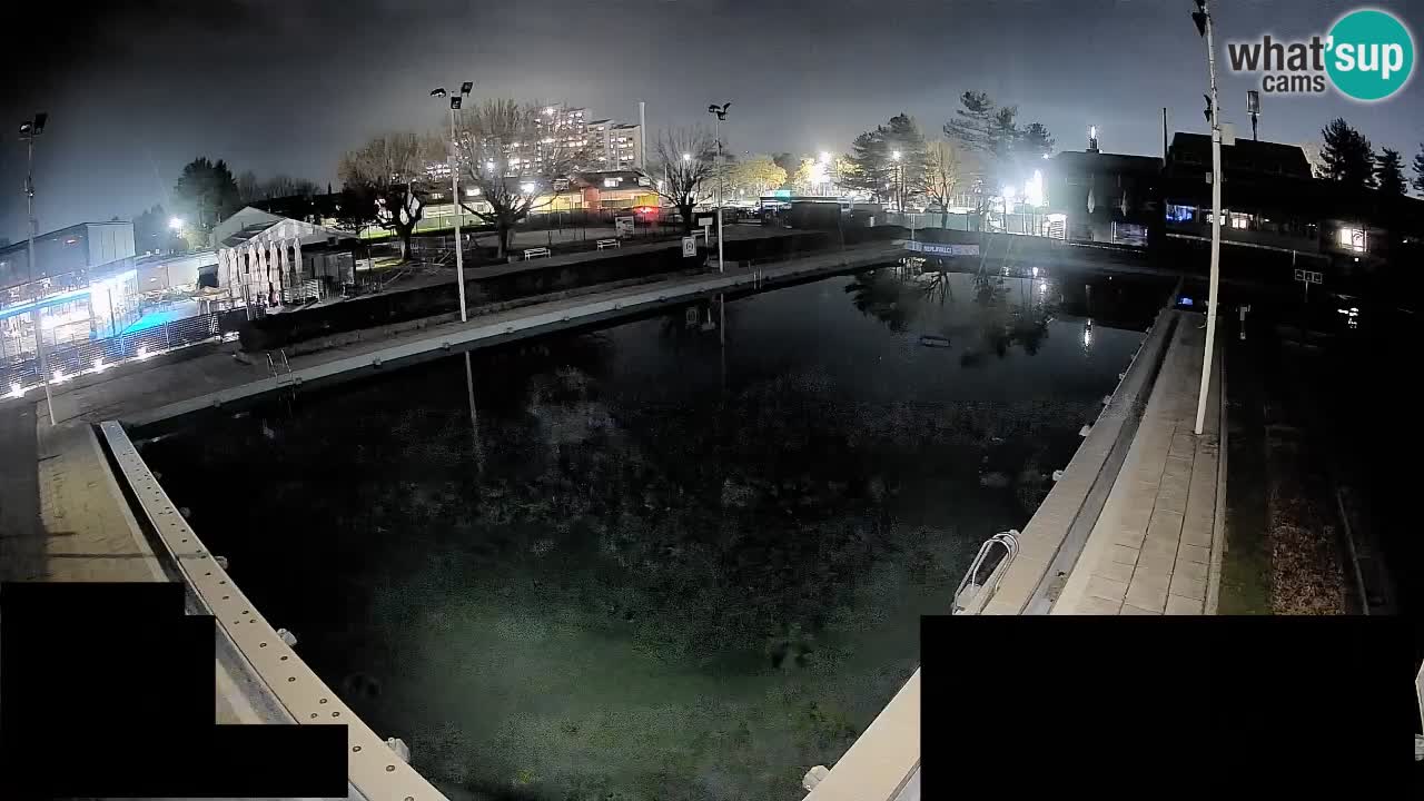 Webcam Celje – Main swimming pool