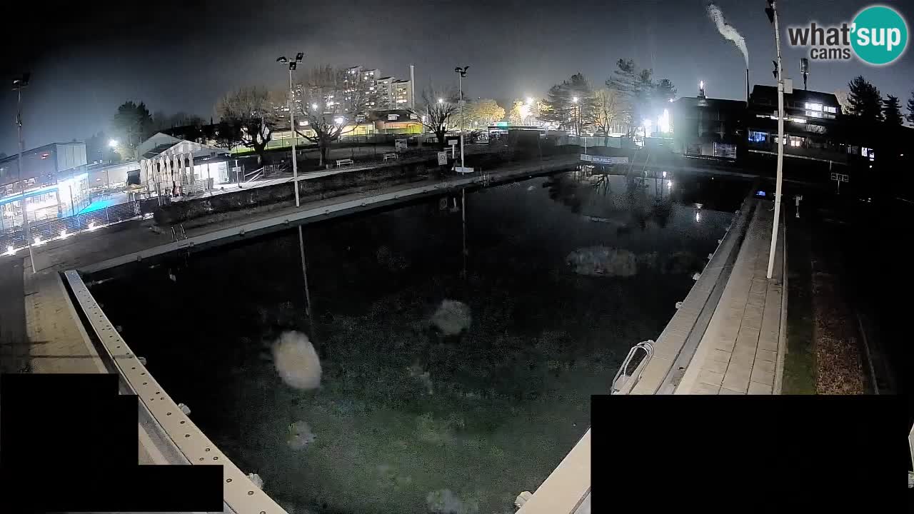 Webcam Celje – Main swimming pool