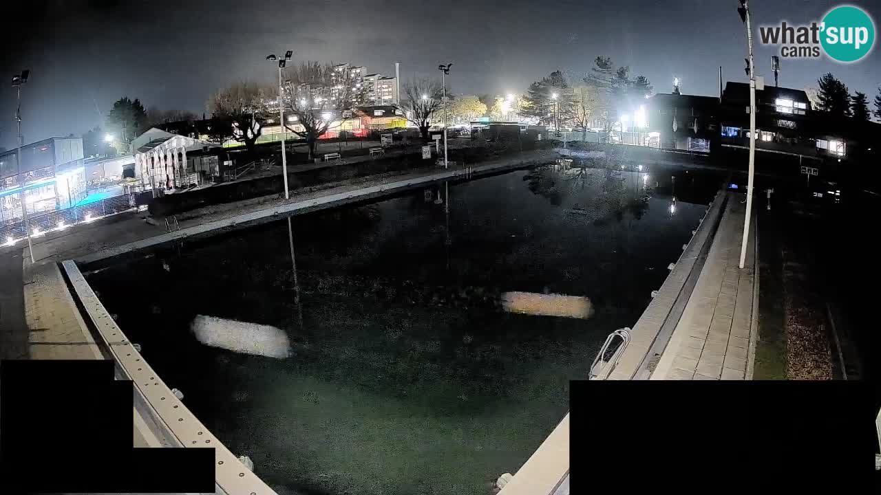 Webcam Celje – Hauptschwimmbad