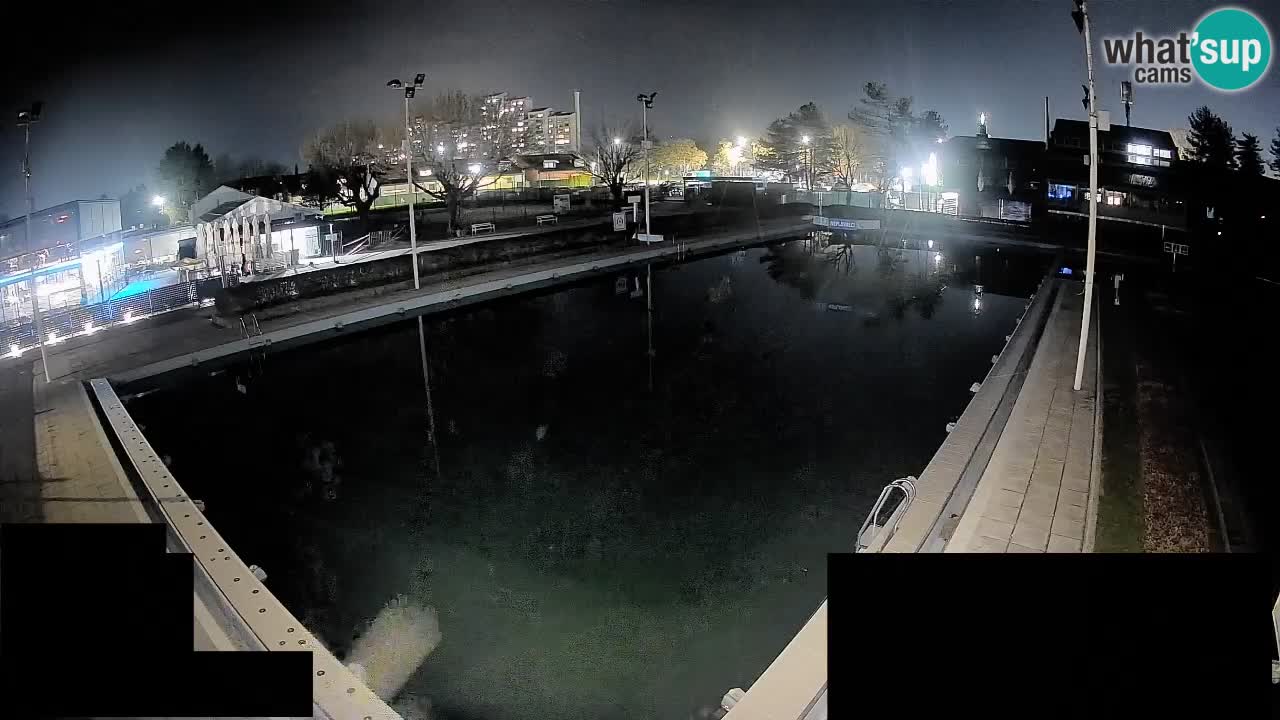 Webcam Celje – Main swimming pool