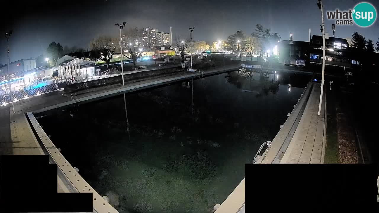 LiveCam Celje – Piscina principale