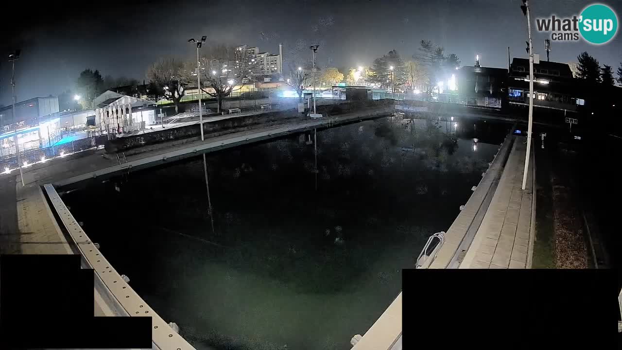 Webcam Celje – Main swimming pool