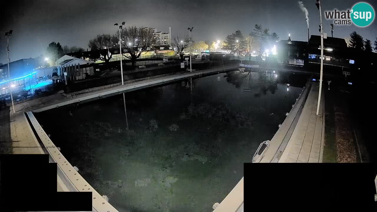 Webcam Celje – Hauptschwimmbad