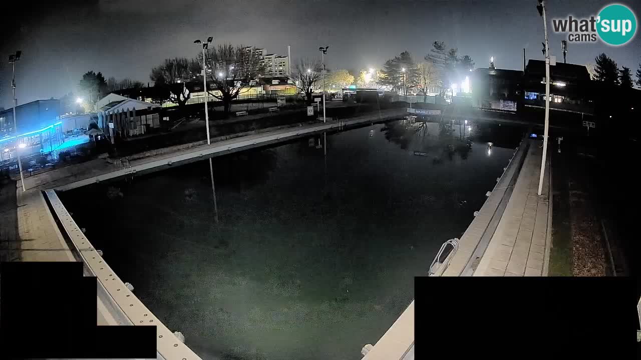 Webcam Celje – Hauptschwimmbad