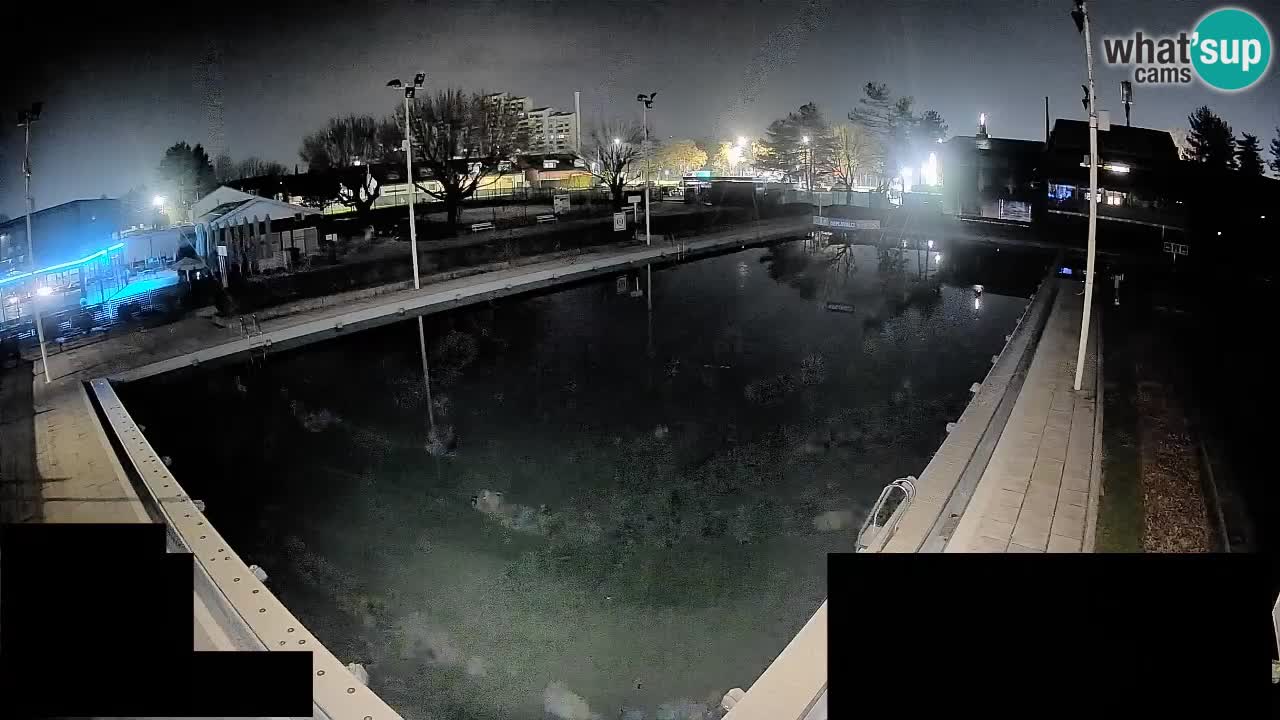 Webcam Celje – Main swimming pool