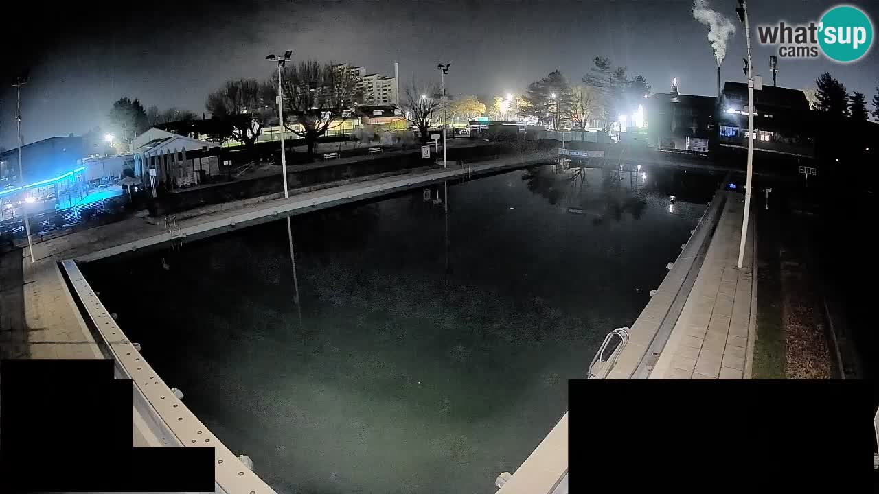 Webcam Celje – Main swimming pool