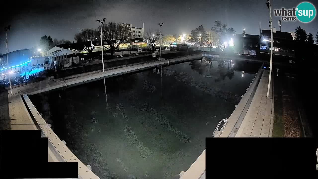 Webcam Celje – Main swimming pool