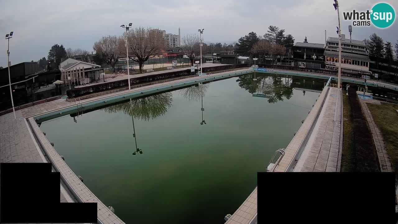 Webcam Celje – Main swimming pool