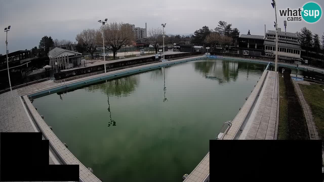 Webcam Celje – Main swimming pool