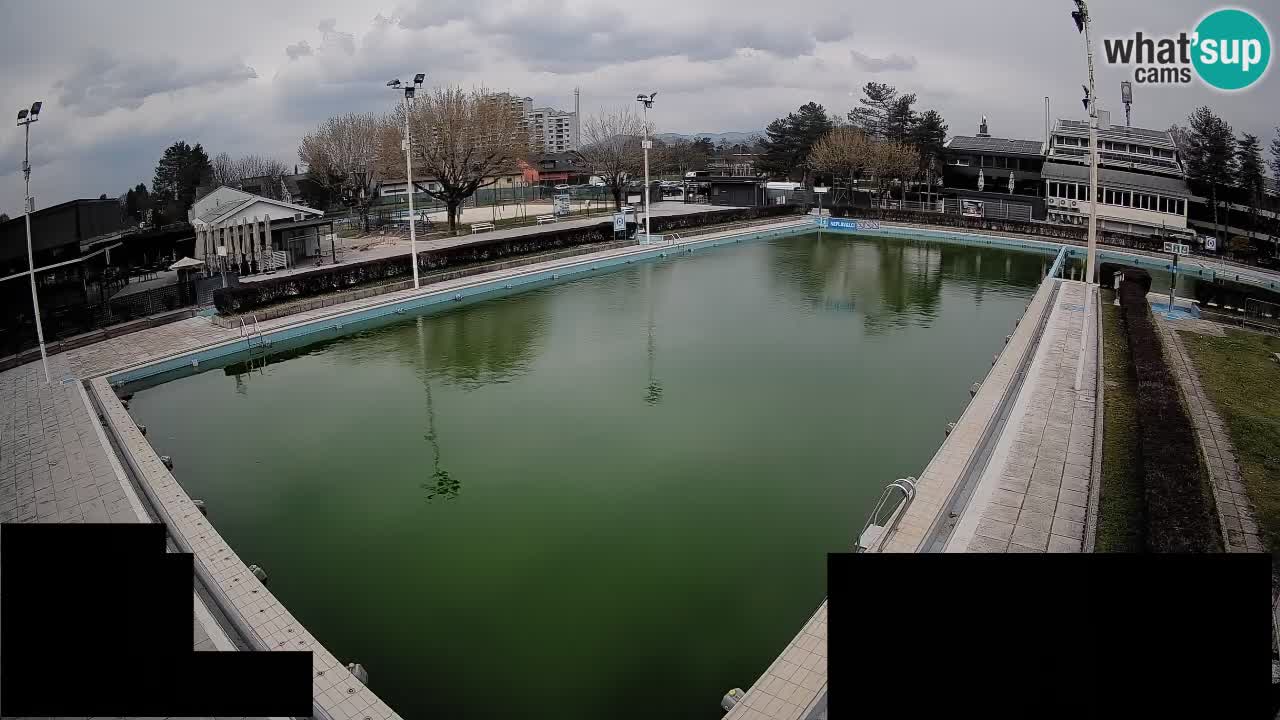 Webcam Celje – Main swimming pool