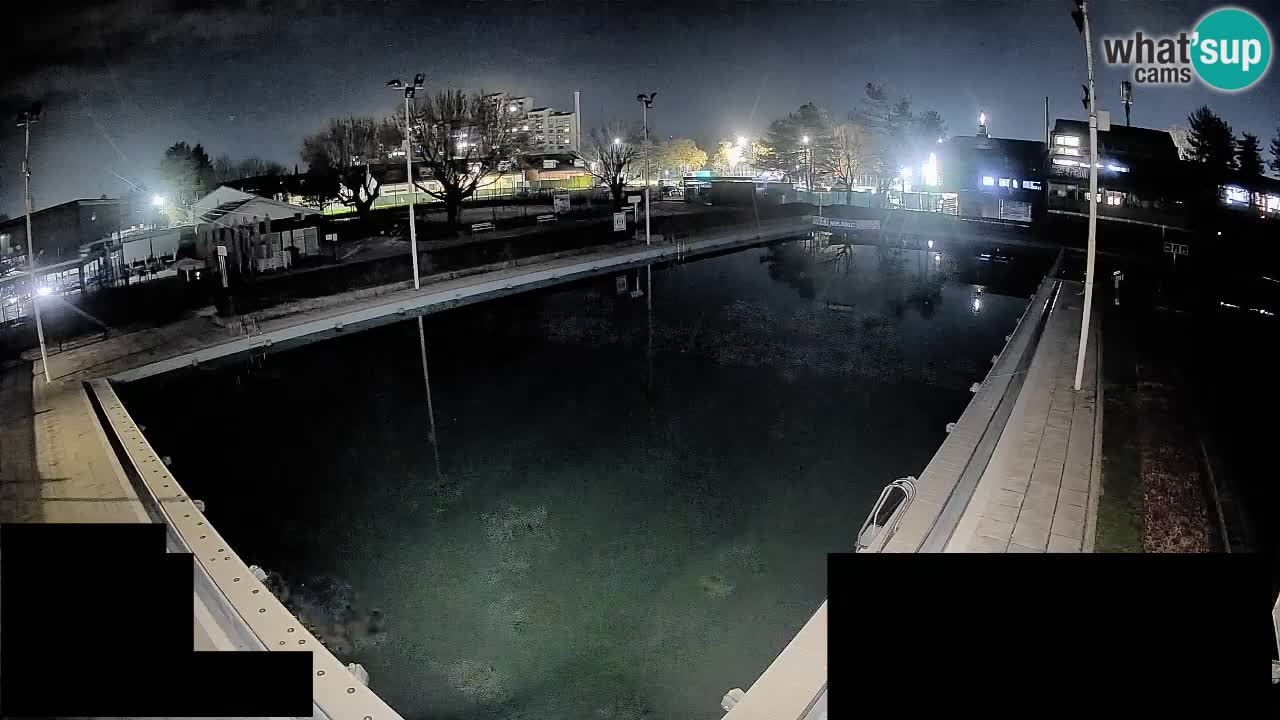 Cámara web Celje – Piscina principal