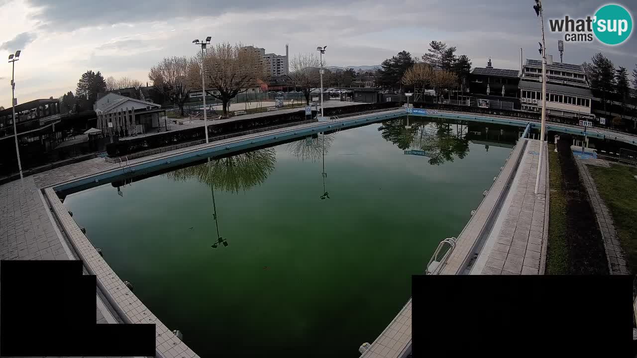 Webcam Celje – Main swimming pool