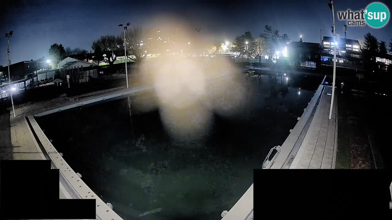 Kamera v živo Celje Letno kopališče  – glavni bazen