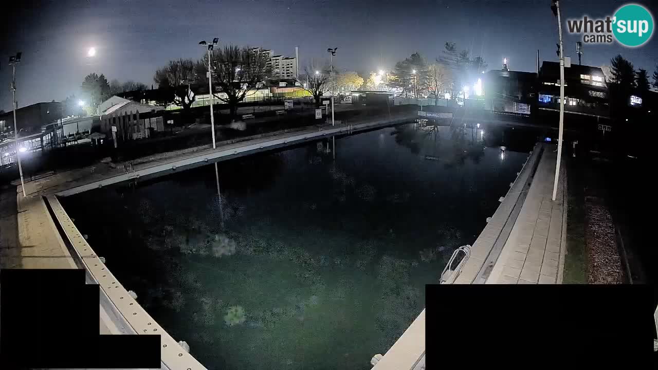 Cámara web Celje – Piscina principal