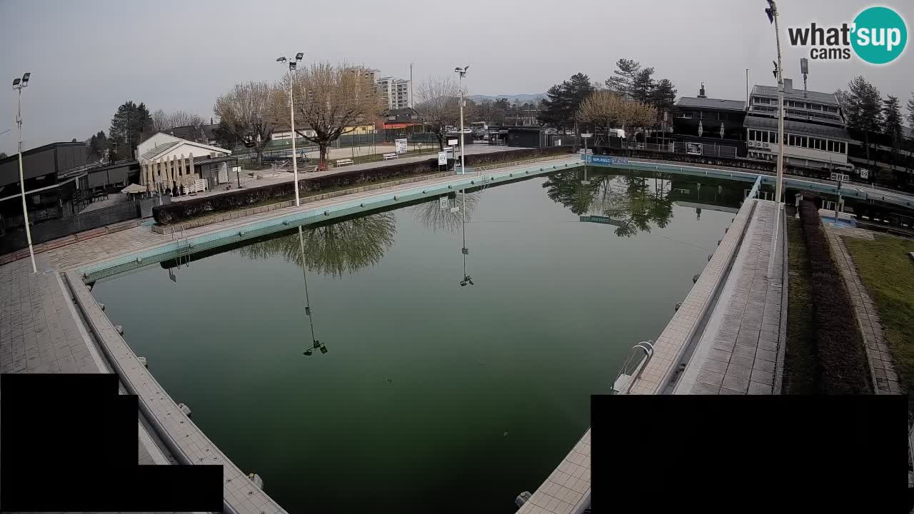 Webcam Celje – Main swimming pool