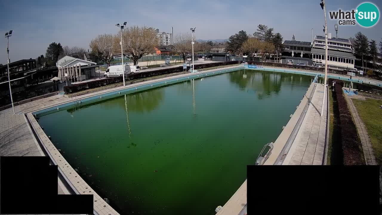 Webcam Celje – Main swimming pool