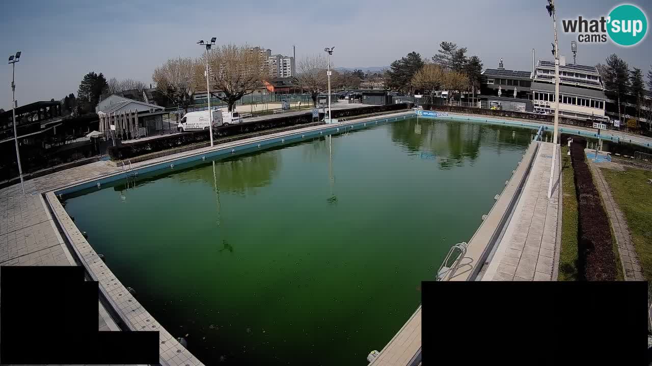 Webcam Celje – Main swimming pool