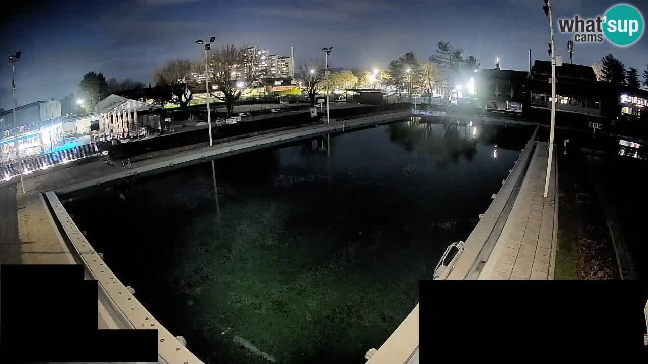 Kamera v živo Celje Letno kopališče  – glavni bazen