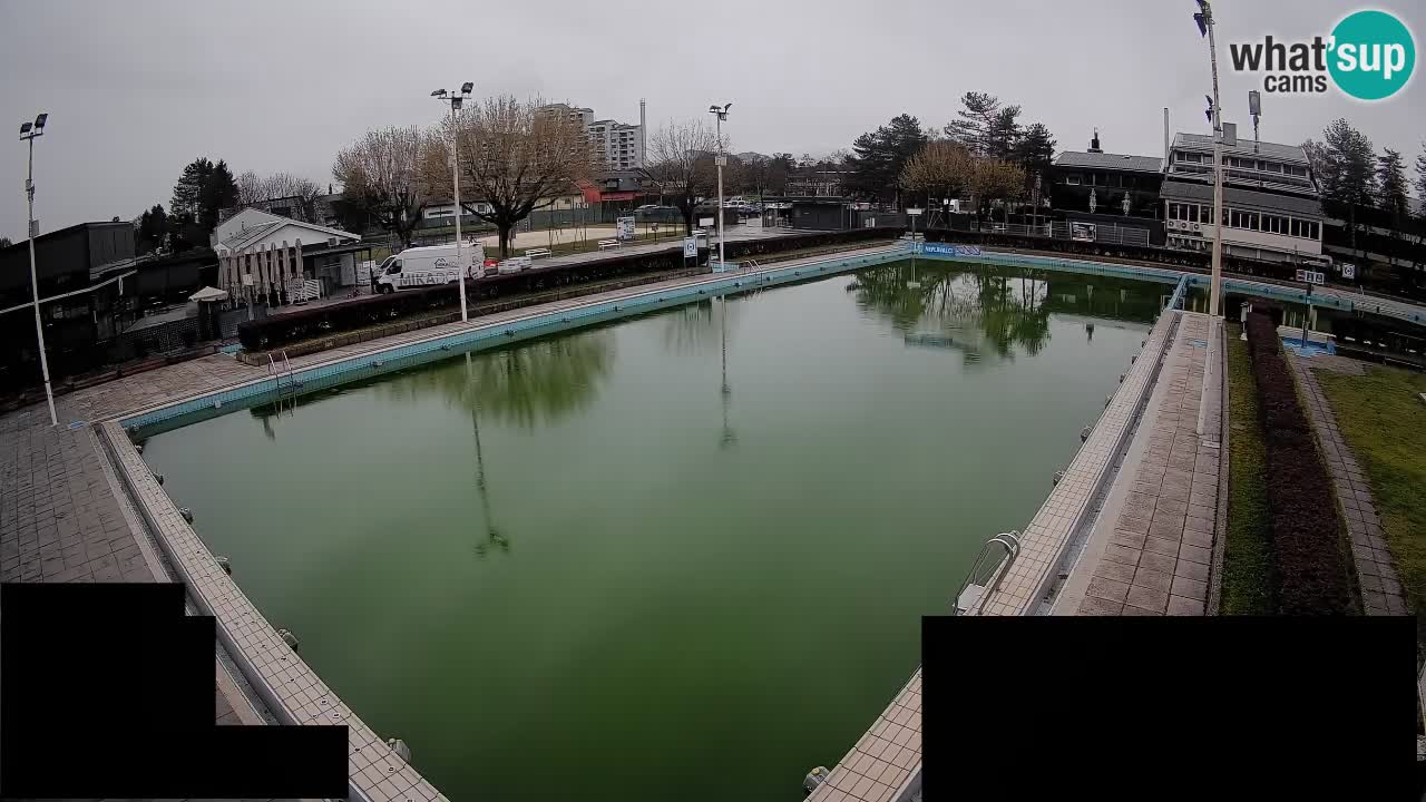 LiveCam Celje – Piscina principale