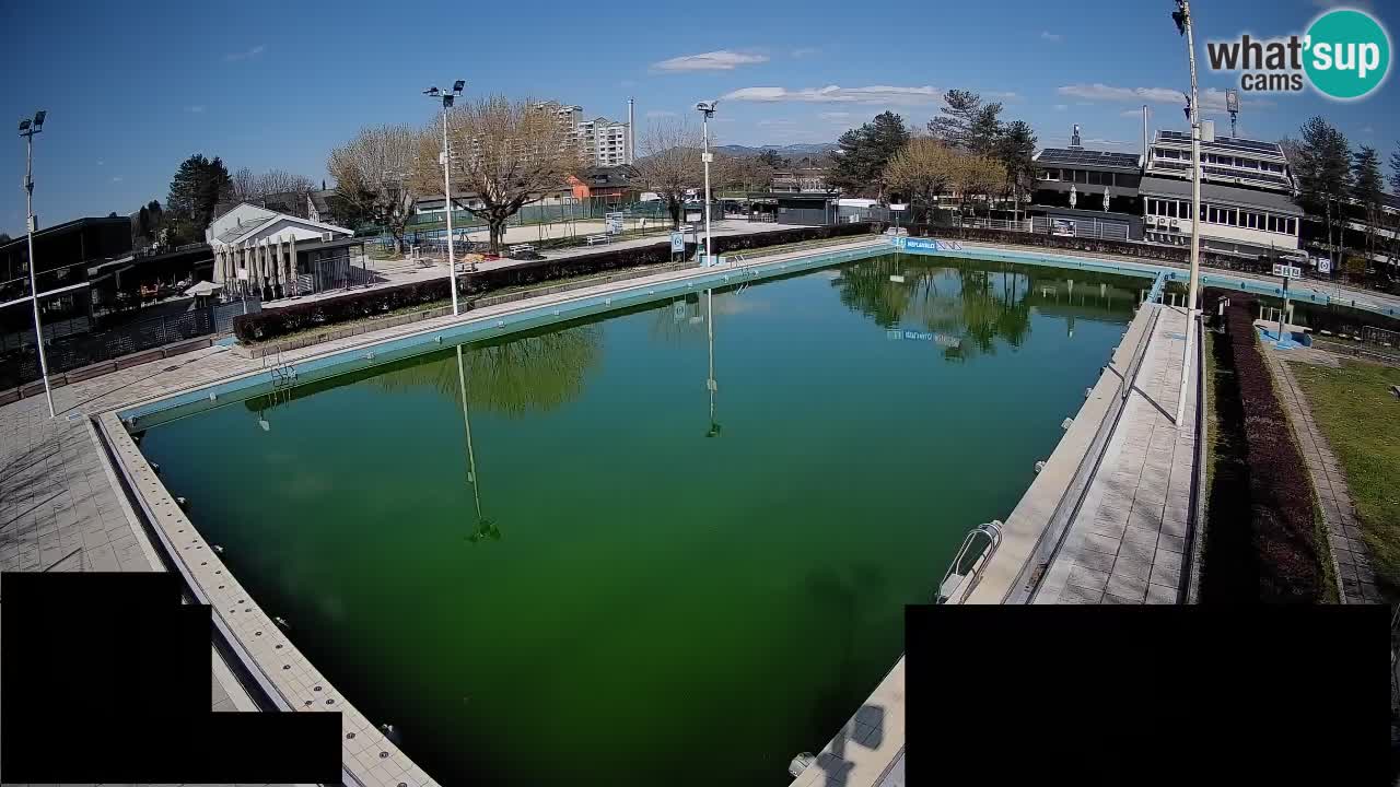 Webcam Celje – Main swimming pool