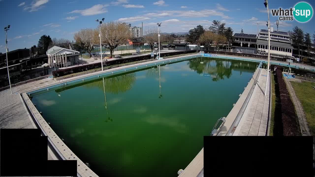 Cámara web Celje – Piscina principal