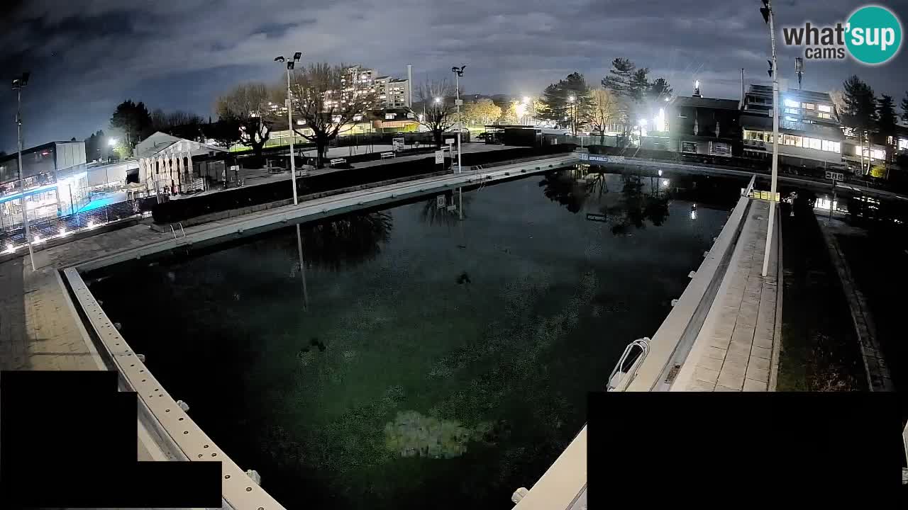 Webcam Celje – Hauptschwimmbad
