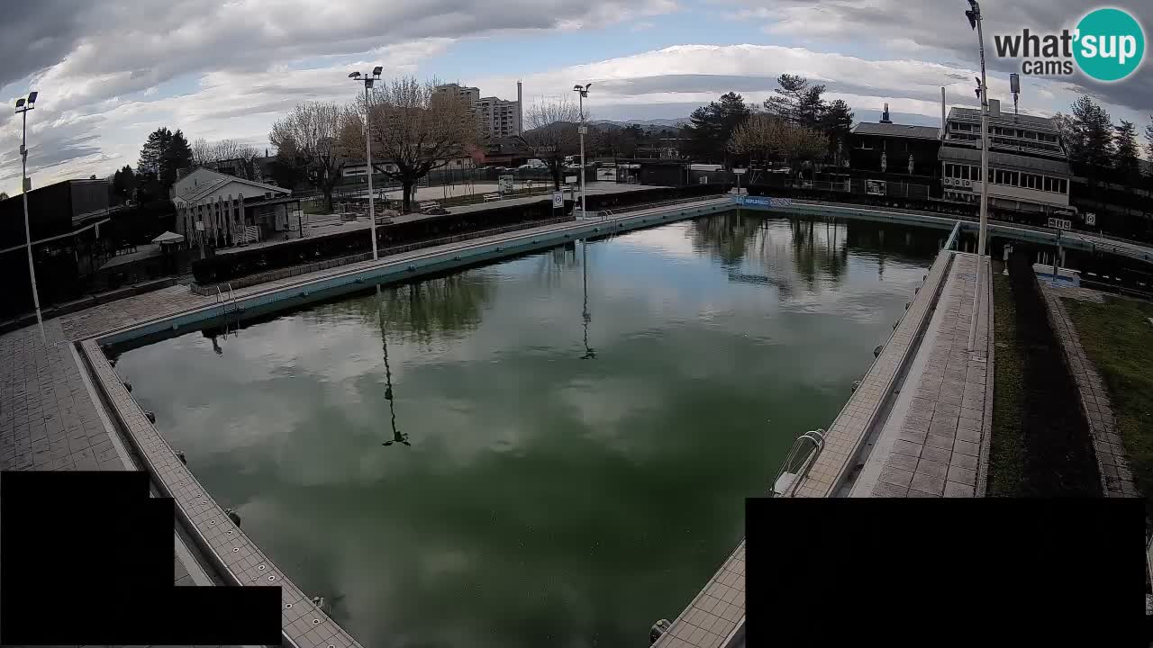 Webcam Celje – Main swimming pool