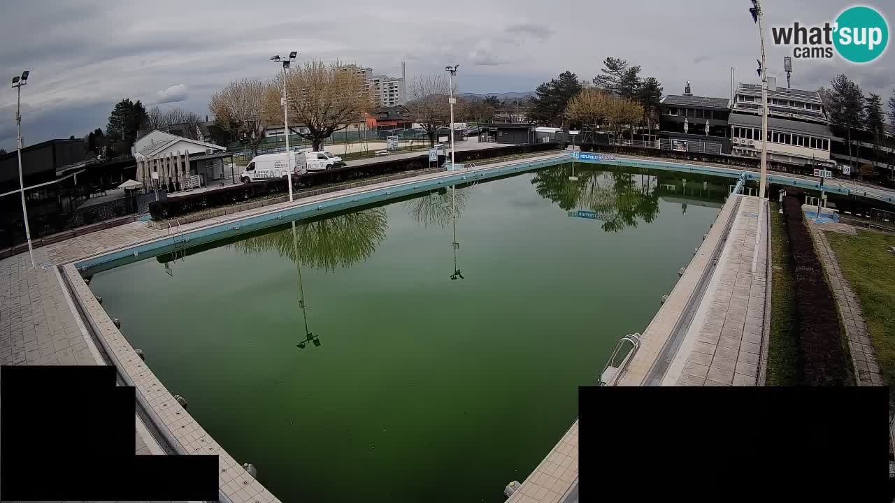 Webcam Celje – Main swimming pool