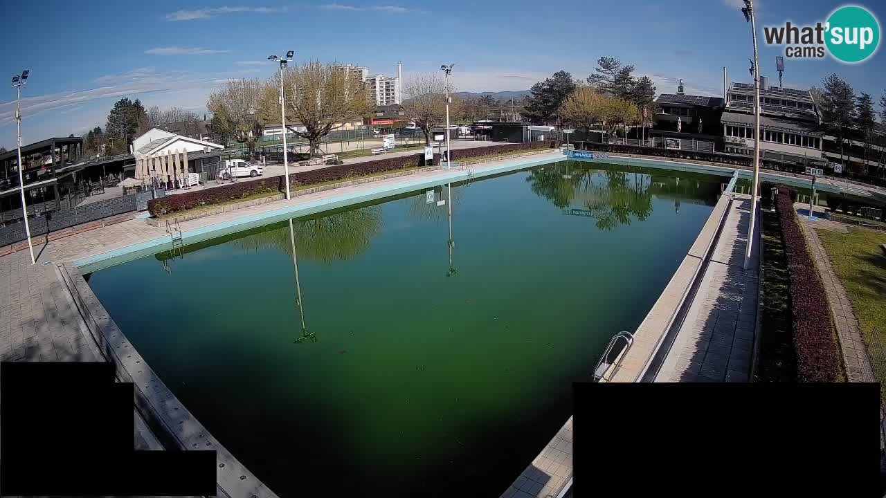 Webcam Celje – Main swimming pool