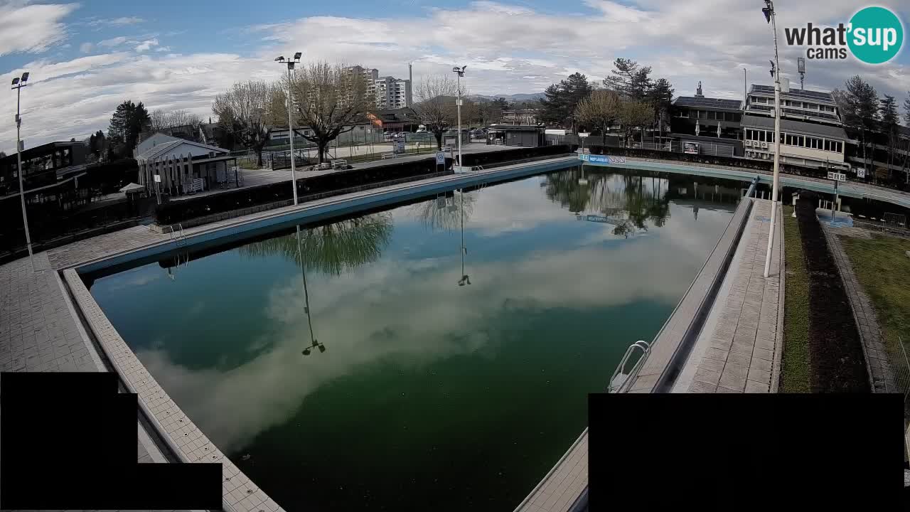 Webcam Celje – Main swimming pool