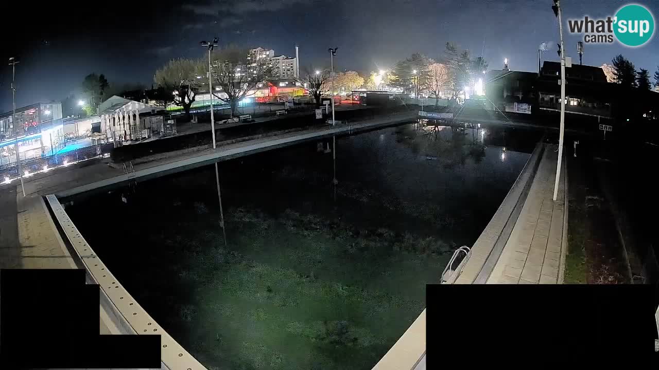 Webcam Celje – Main swimming pool