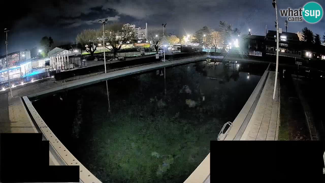 Webcam Celje – Hauptschwimmbad