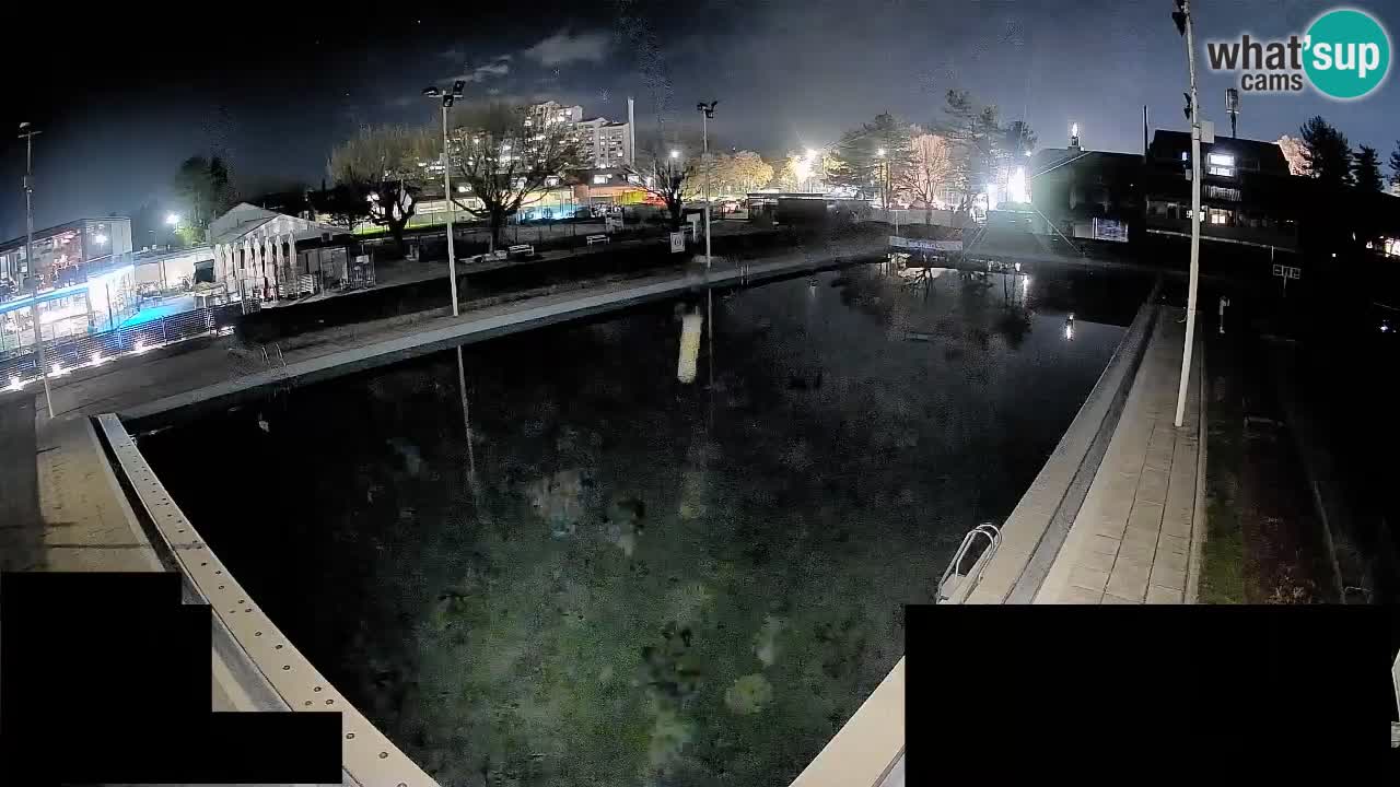 Webcam Celje – Main swimming pool