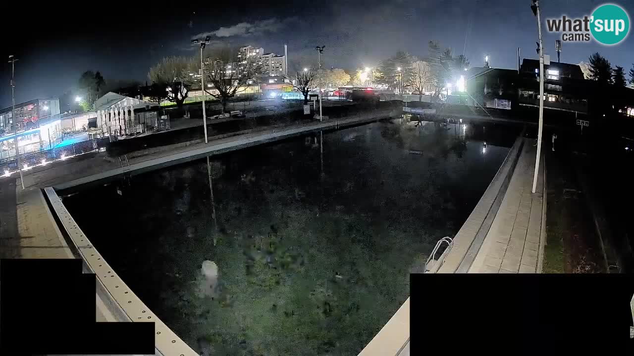 Cámara web Celje – Piscina principal