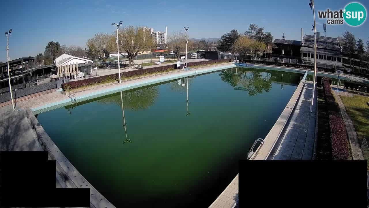 Webcam Celje – Main swimming pool
