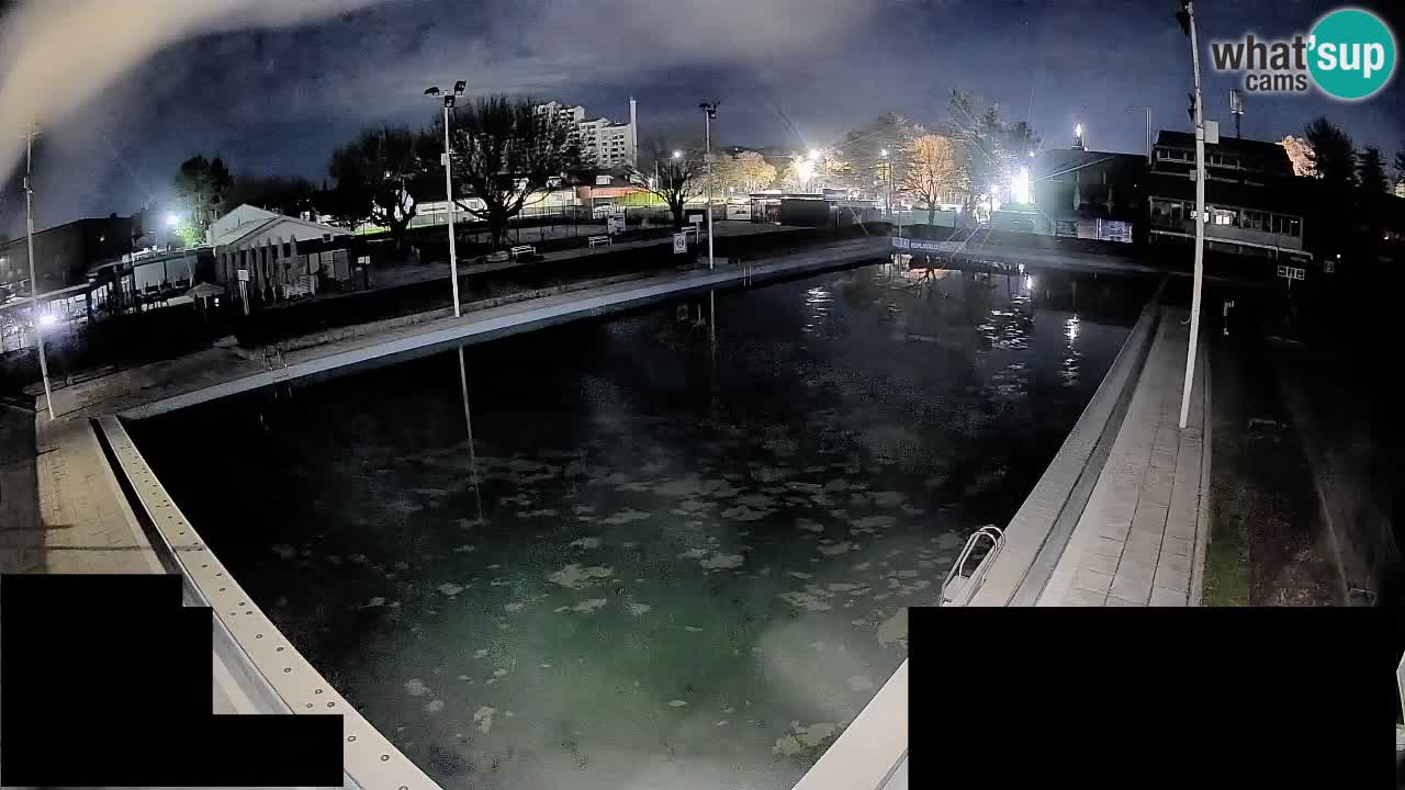 Webcam Celje – Main swimming pool
