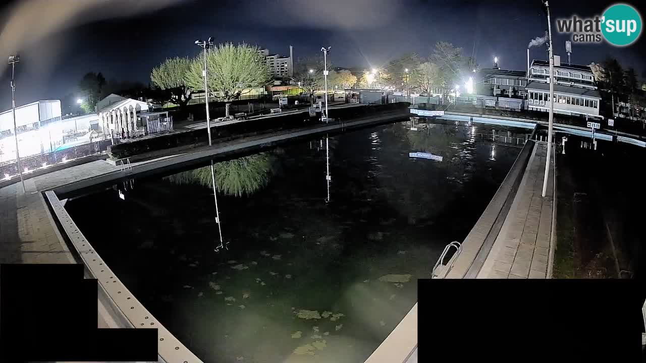 Webcam Celje – Main swimming pool