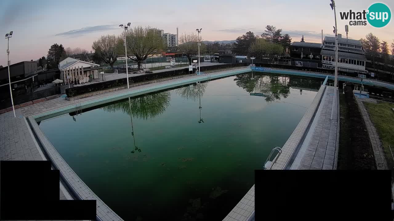 Webcam Celje – Main swimming pool