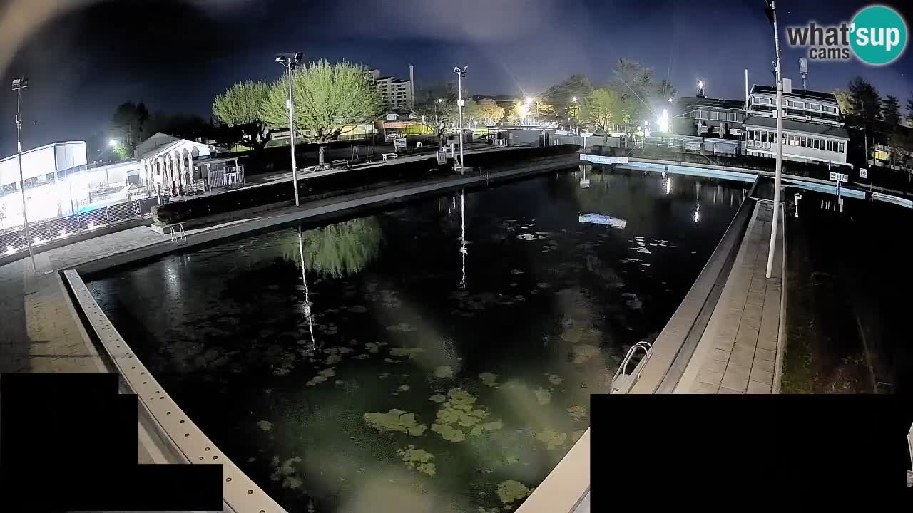 Webcam Celje – Main swimming pool