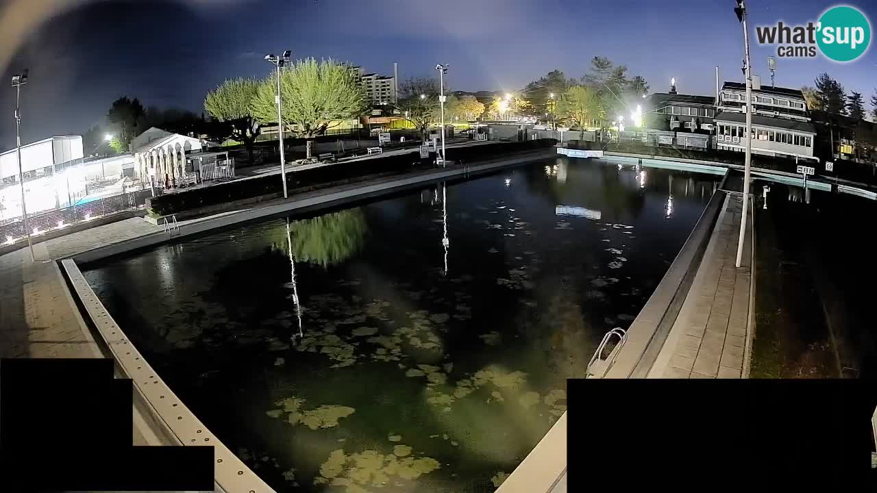 Webcam Celje – Main swimming pool