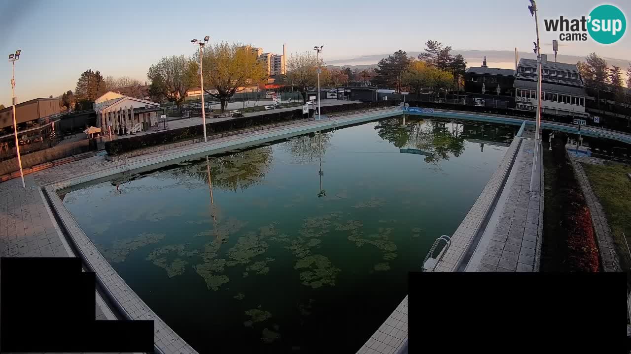 Webcam Celje – Main swimming pool