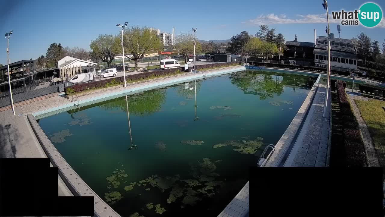 Webcam Celje – Main swimming pool
