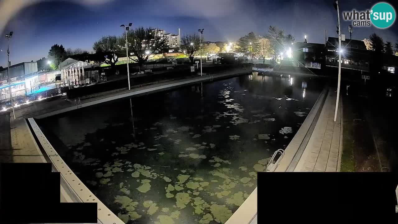 Cámara web Celje – Piscina principal
