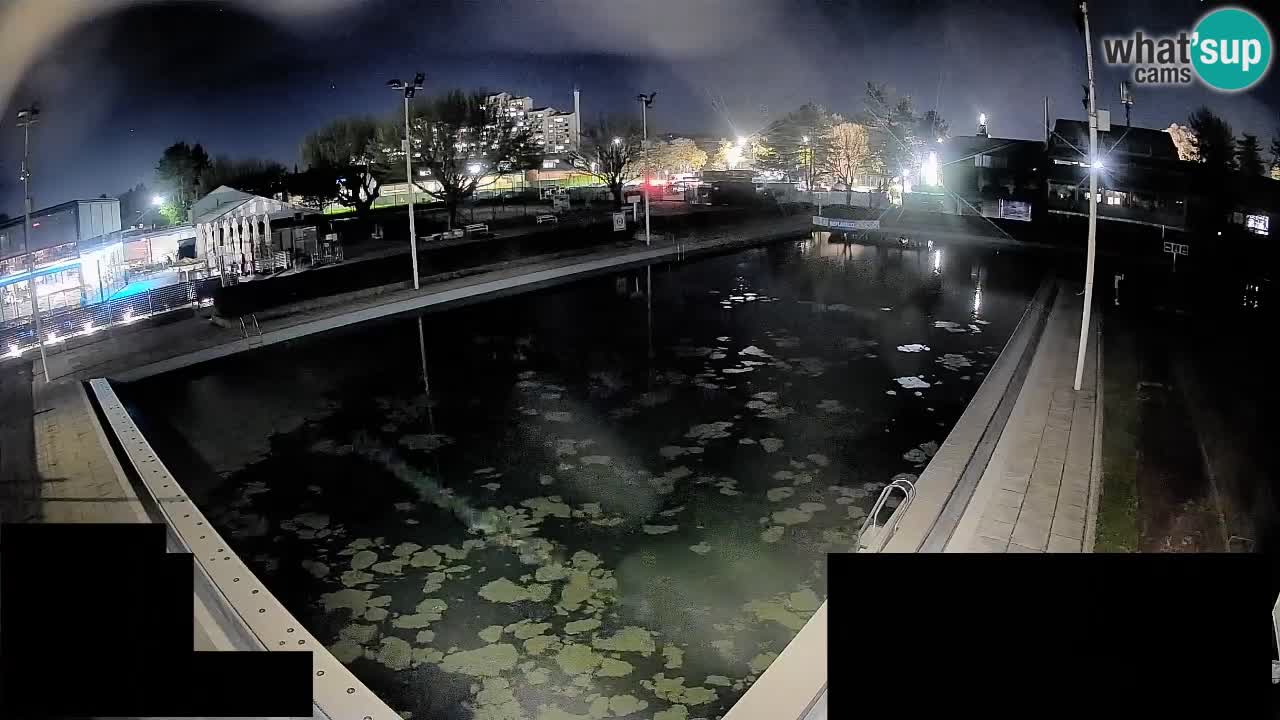 Webcam Celje – Main swimming pool