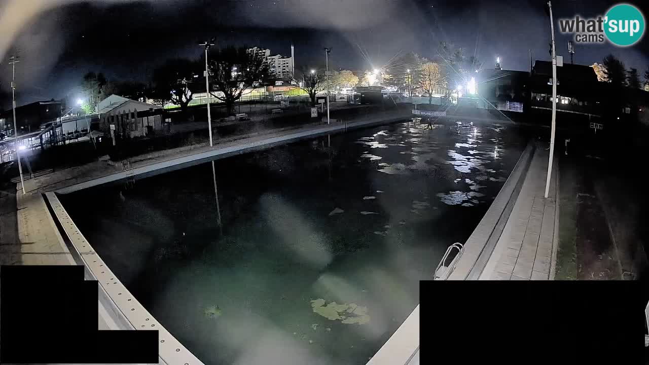 Webcam Celje – Main swimming pool