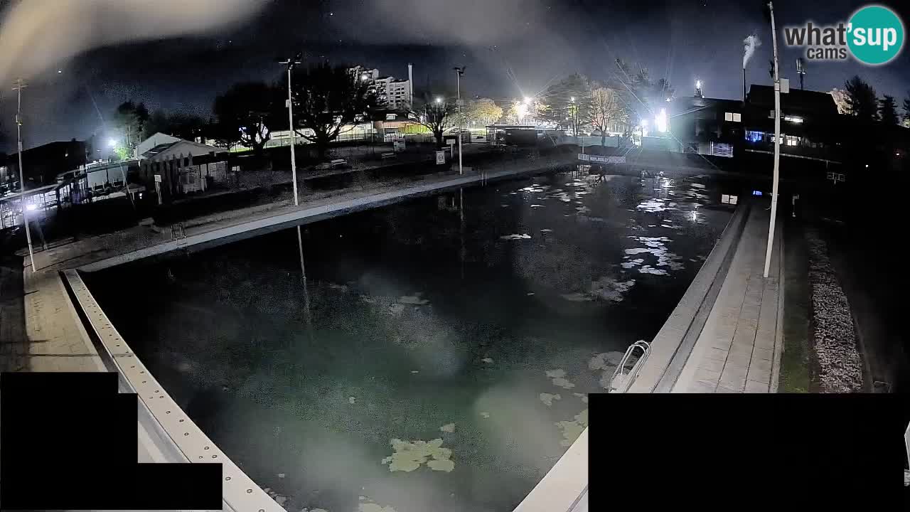 Webcam Celje – Main swimming pool