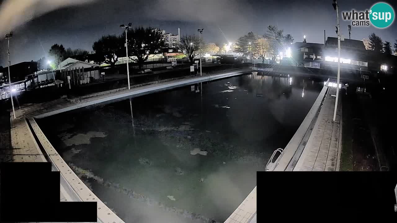 Webcam Celje – Main swimming pool