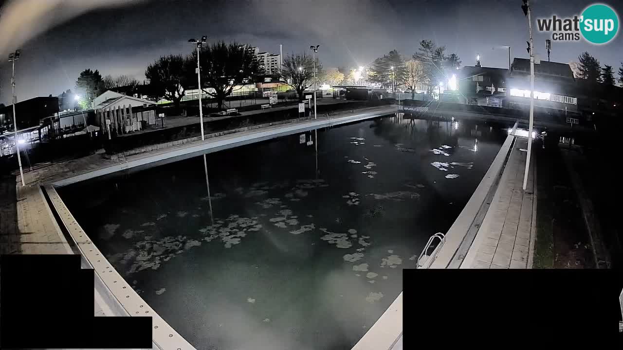 Cámara web Celje – Piscina principal