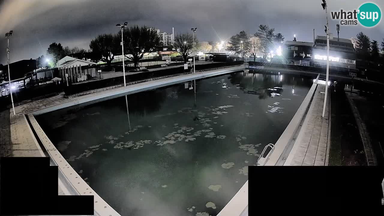 Webcam Celje – Main swimming pool